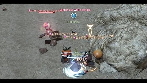 FFXIV "Seeds of Rebellion"