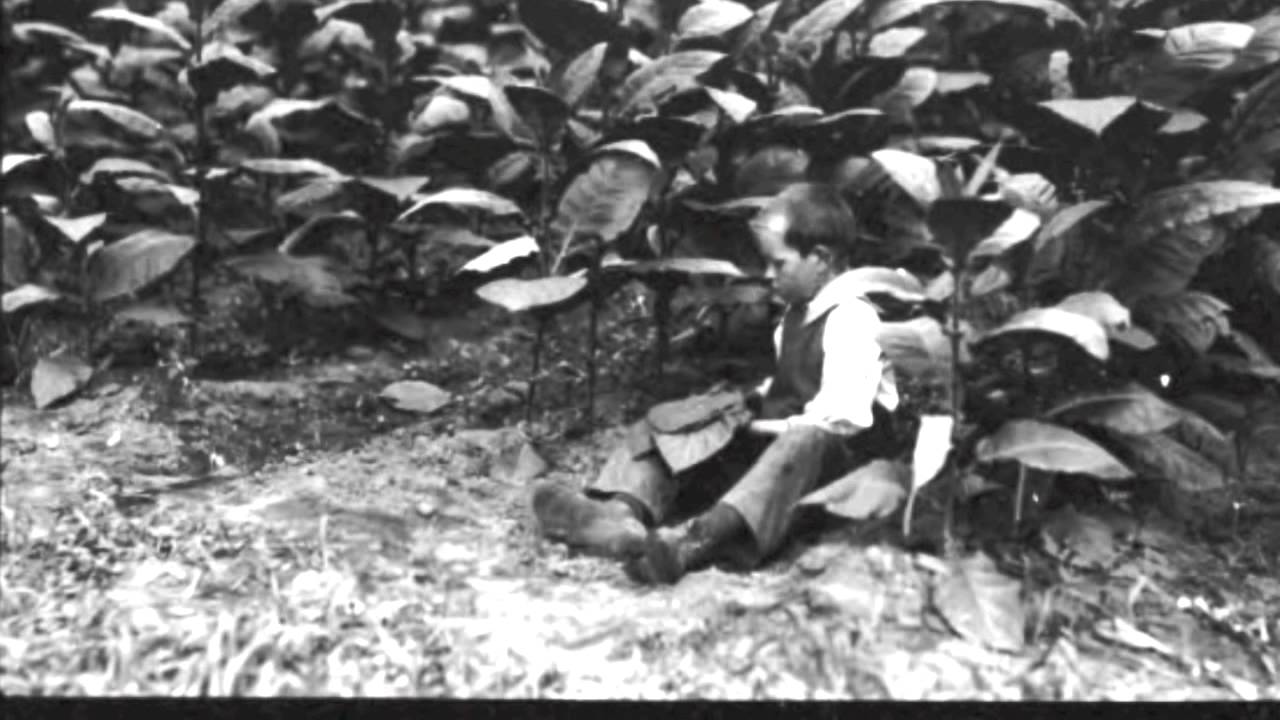 Child Labor In The Gilded Age YouTube Child Labor In The Gilded Age YouTube