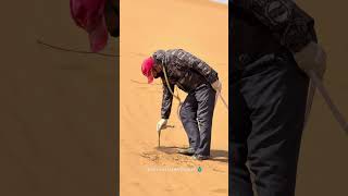 The "Water Drill" Method for Desert Greening! 🌊
