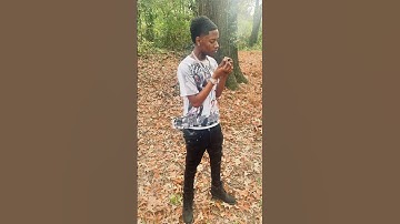 BabyCeo Trell Unreleased Snippet #feed #unreleased #music #memphis