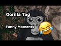Gorilla Tag Funny Moments