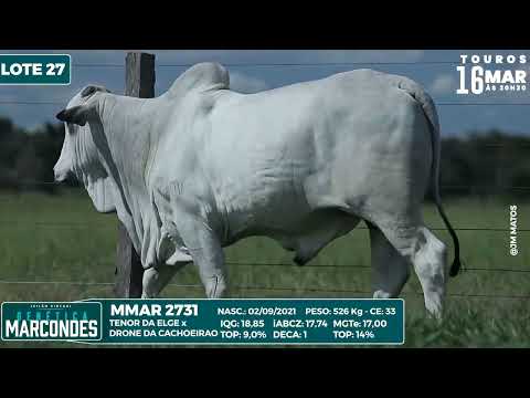 LOTE 27   MMAR 2731