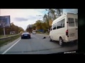 Водитель сбил собаку