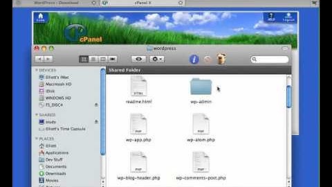 AdelinaHost.com - How to install CMS WordPress to Web Hosting