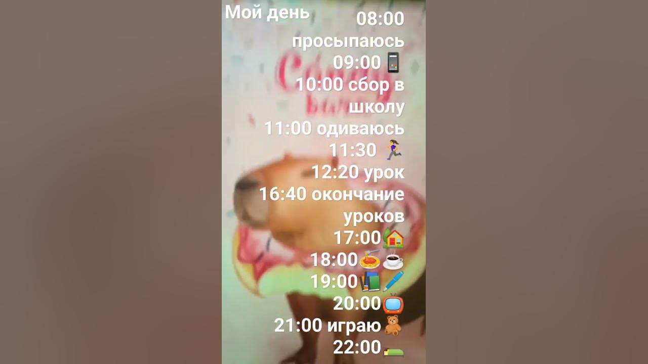 капи бара - YouTube