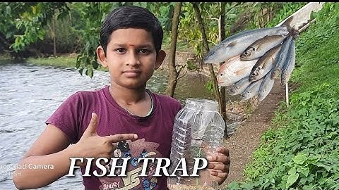 How to make fish trap using plastic bottle|| Simple fish trap making || SKN TECH ||