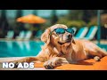 12 Hours Anti Anxiety Music for Dogs 🐶 Stress Relief Music For Dogs ♬ Calming Music For Dogs