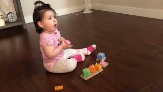 Montessori Sorting and Stacking Toys