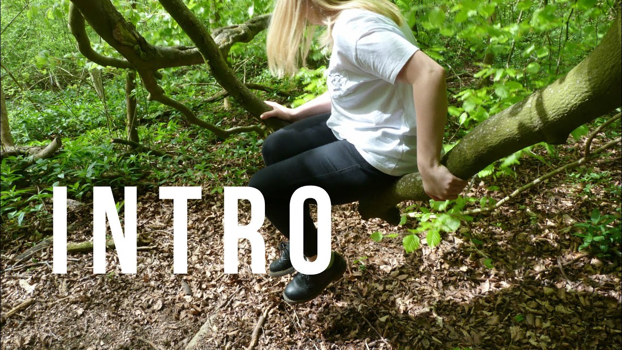 Intro Forest Intro // Forest Adventure - YouTube