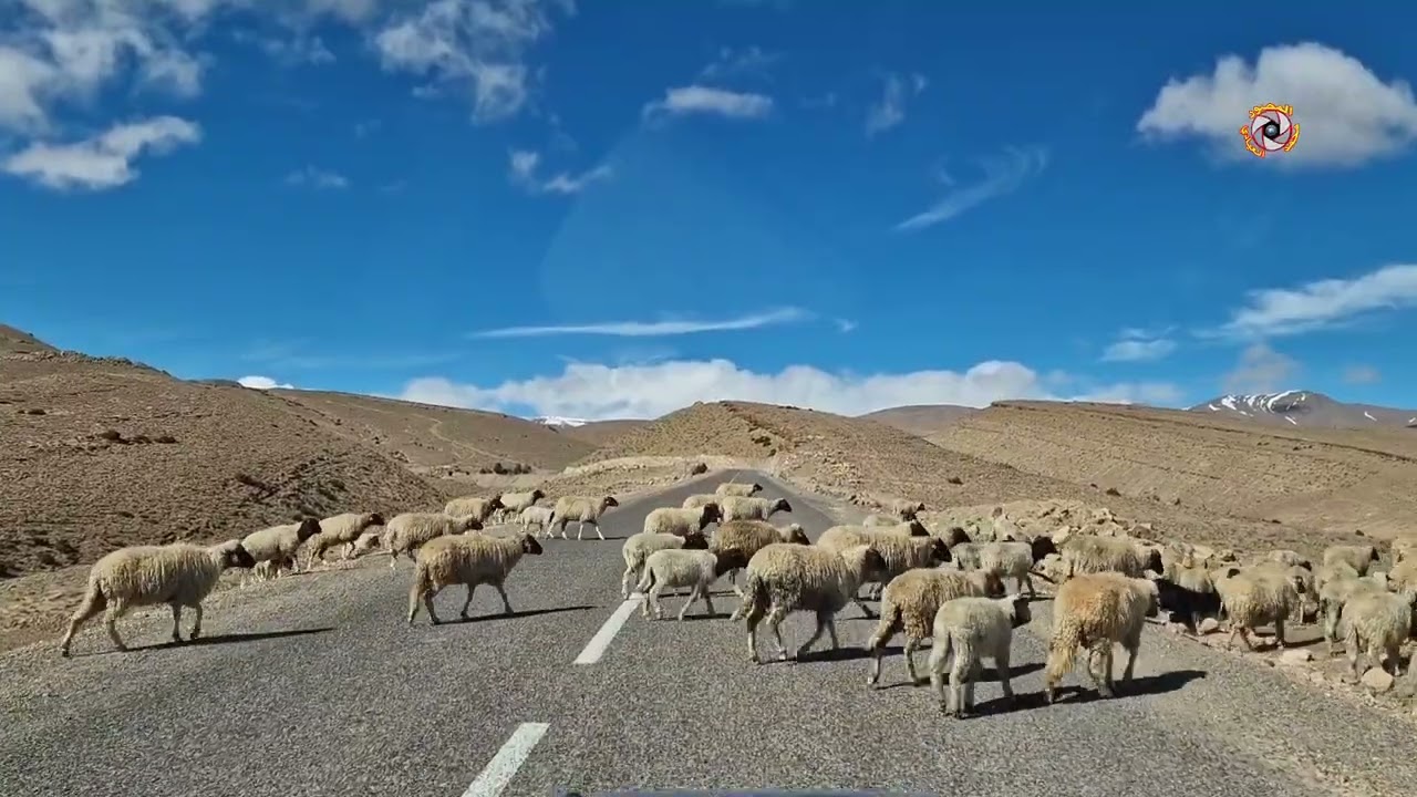 طريق تامتتوشت تيلمي اقليم تنغير