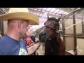 NRHA Derby '14 - Patrice St-Onge Give a Tour of his Stalls