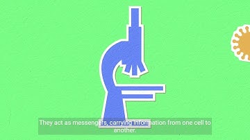 The Most Complex Language in the World | Exploring the Wonders of Cells