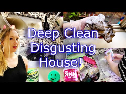 Video: DEEP CLEANING DISGUSTING HOUSE// DEEP CLEAN WITH ME