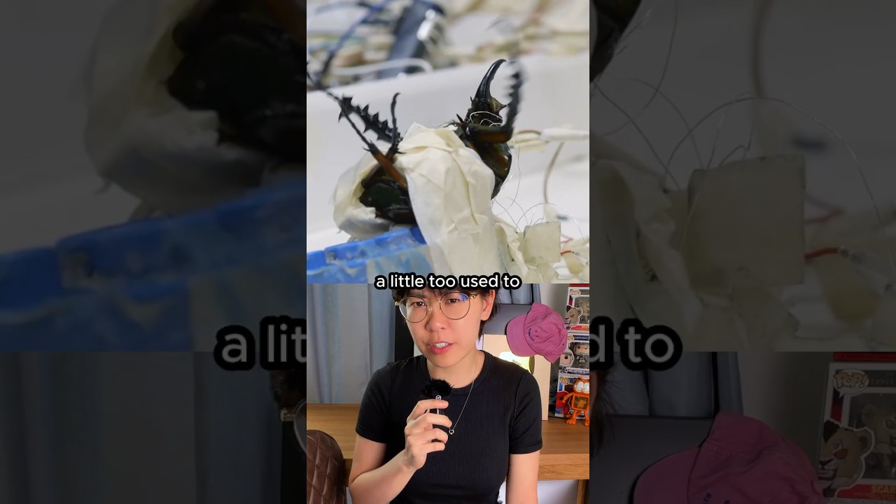 They turned a cockroach into a diving machine