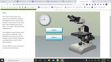 virtual lab homeostatis two0029