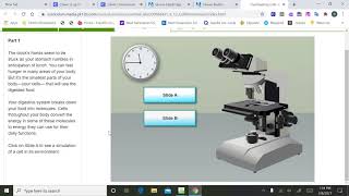 virtual lab homeostatis two0029
