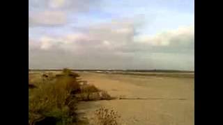 10289056 753835324649355 514859873 n