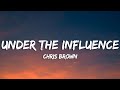 Chris Brown - Under The Influences
