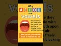 The secret of vowels revealed!