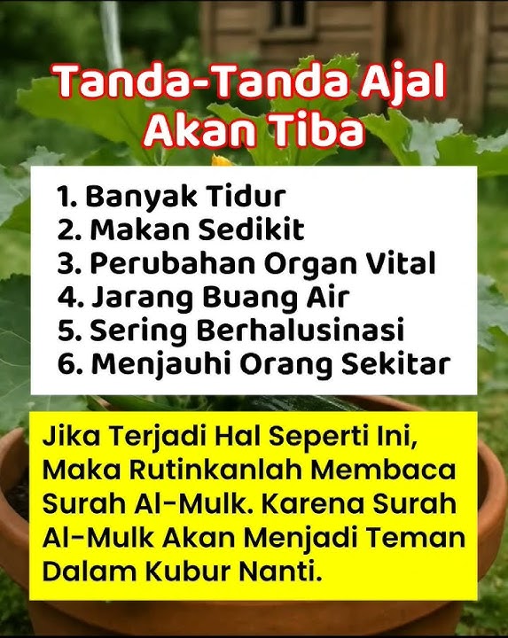Routinely reading Surah Al-Mulk for friends in the grave