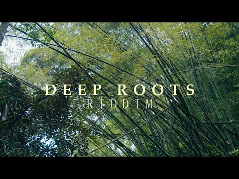 Sinky Beatz Deep Roots Riddim Reggae Roots Instrumental