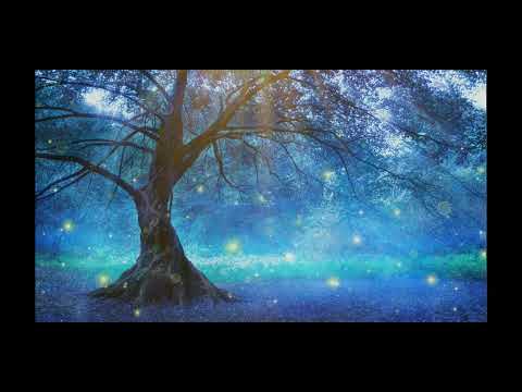 Video ????????????Hành trình 28 ngày lòng biết ơn ( lần 3) ♥️Ngày... - youtube