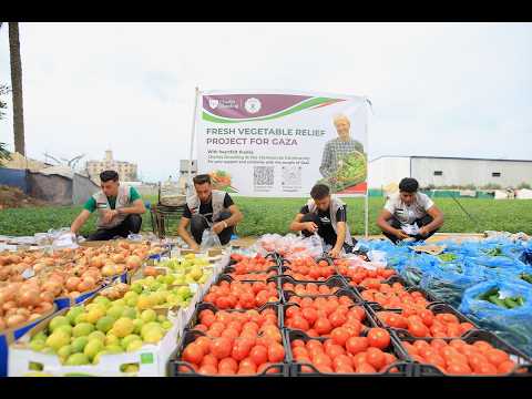 Vegetable Distribution after Fundraising