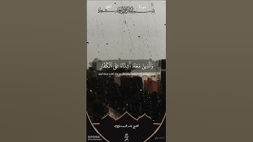 محمد رسول الله | سورة الفتح | ياسر الدوسري #قرآن #اكسبلور #ذلك_الدين_القيم