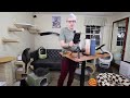 Hosting "Cool Cat Stuff" on Amazon Live.