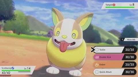 POKEMON SWORD (SWITCH) PART 3-  WILD AREAS