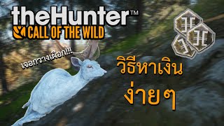 วิธีหาเงินง่ายๆ (เจอกวางเผือก!!!) | แนวทางการเล่น theHunter: Call of the Wild