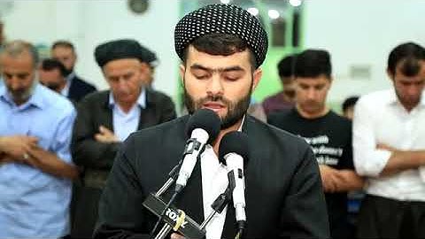 جديد سورة العنكبوت كاملة بيشةوا قادر الكردى