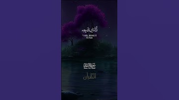 قَالَ يَا أَيُّهَا الْمَلَأُ أَيُّكُمْ يَأْتِينِي بِعَرْشِهَا.. سورة النمل للشيخ ياسر الدوسري