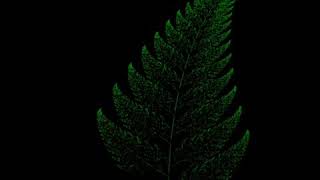 Fern Leaf in Python using Turtle
