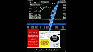 GỬI CON GÀ ÔNG CHÚ SCAPING TÀI KHOẢN FOREX CEN