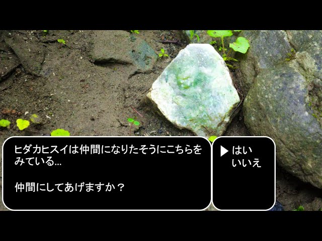 日高翡翠は幻ではなかった】そして美しかった - YouTube