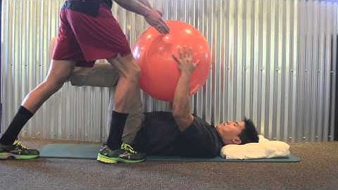 Alternating Isometrics with Swiss Ball in 90/90 | Chris Johnson PT