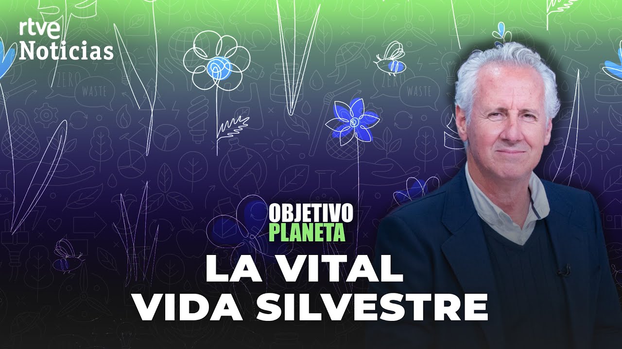 VIDA SILVESTRE: LORENZO MILÁ habla de sus BENEFICIOS para el SER HUMANO | RTVE Noticias