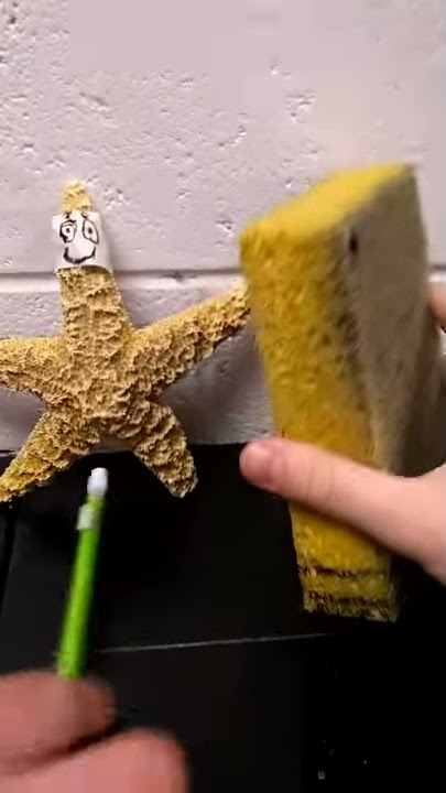 SpongeBob SquarePants live action movie official teaser