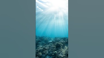 Chess.com Daily Puzzle 17 August 2024 #shorts