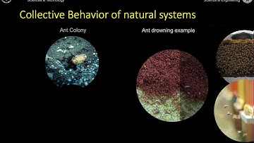 CS352 -  Introduction to Soft Computing   Lecture 7 Section 7.1