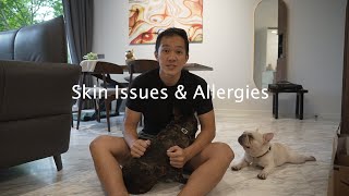 NO MORE SKIN ALLERGIES for your French Bulldog!!!