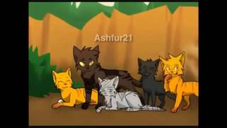 Ashfur- idfc