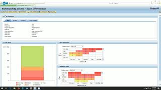 Protect4S Display Vulnerability details report and mitigation report