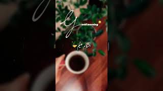 assalam o alaikum🤝 subha bakhair🥱🥰||good morning status||new morning status||urdu poetry||#shorts screenshot 5