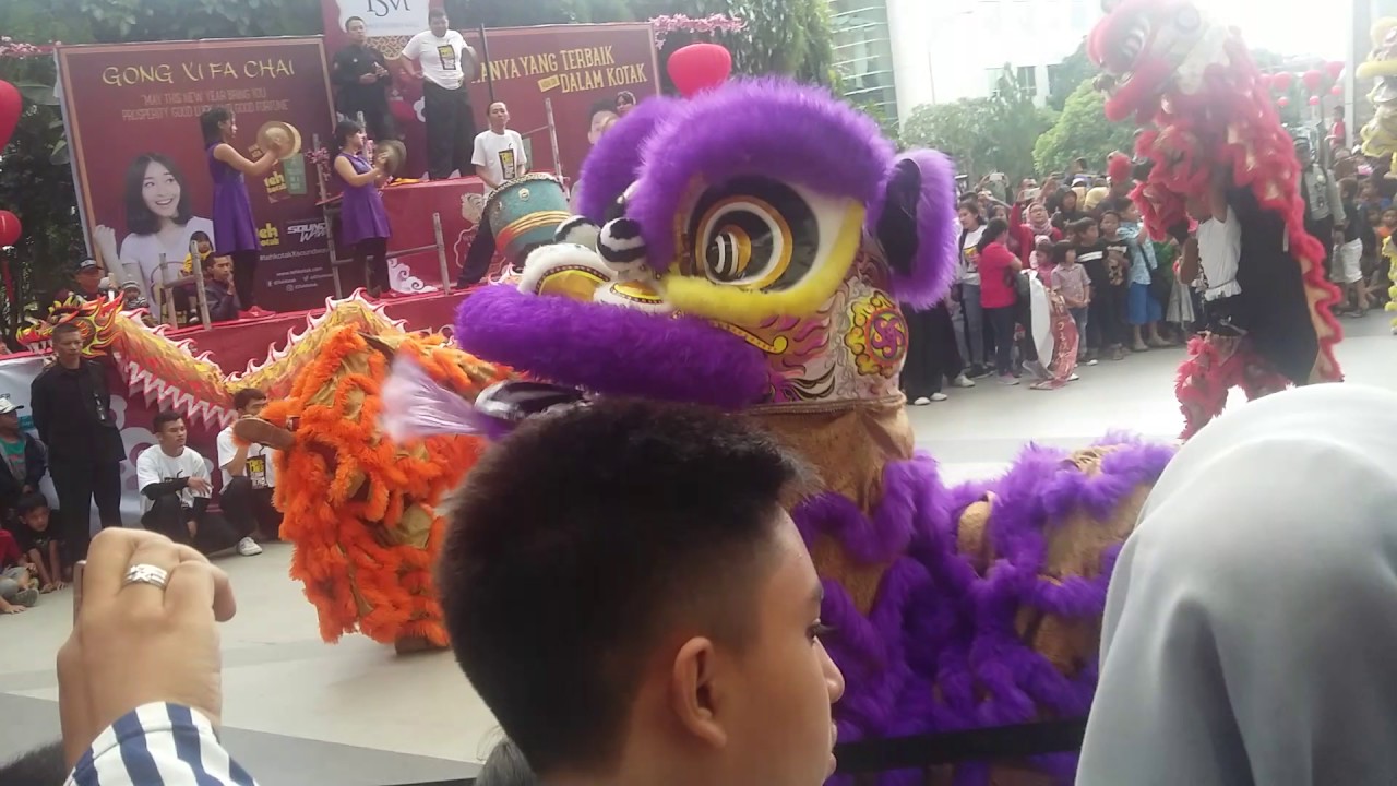 Barongsai Dan Liong TSM Bandung 2017 Part 3 - YouTube