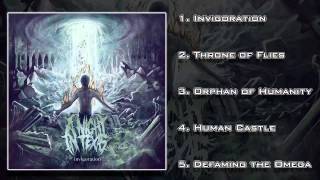 A Night in Texas - Invigoration