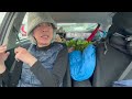 【NZバンライフ】自然保護区の目の前で車中泊,一生忘れられない朝日に泣いた。ここはCastlepoint Holiday Park&Motels、3泊で7,666円激安！