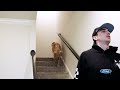 Alex Nedeljkovic Visits the Dog Park | Pittsburgh Penguins