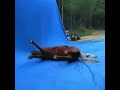 Middle of video